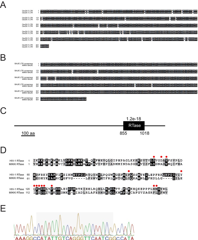 Figure 2—figure supplement 1.