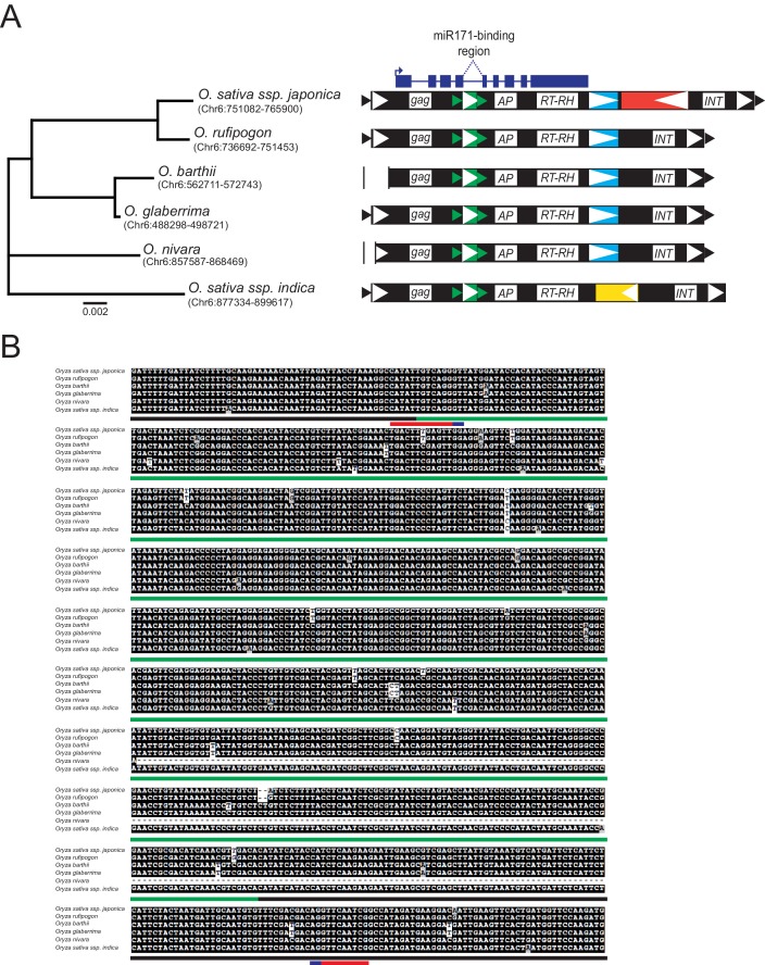 Figure 4—figure supplement 2.