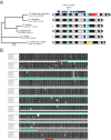 Figure 4—figure supplement 2.