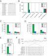 Figure 2—figure supplement 2.