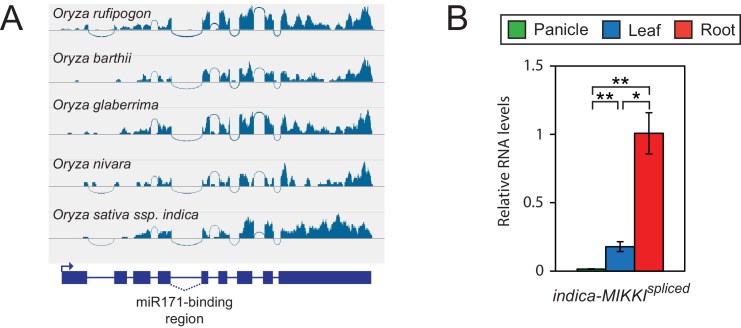 Figure 4—figure supplement 3.