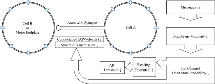 Fig. 3