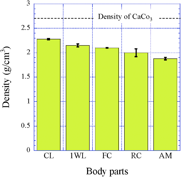 Fig. 9