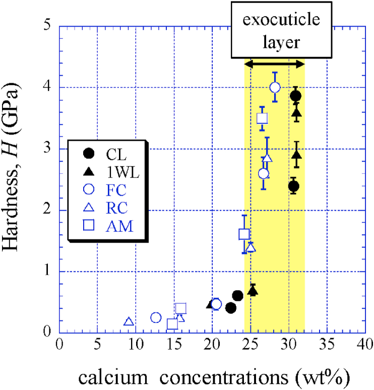 Fig. 7