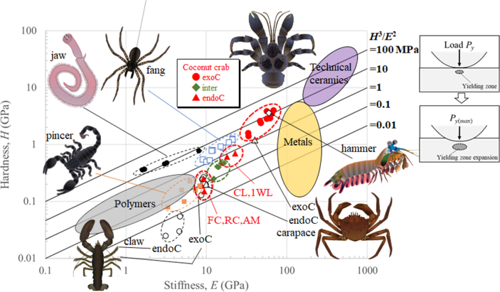 Fig. 10