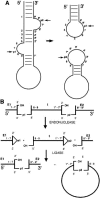FIGURE 9.