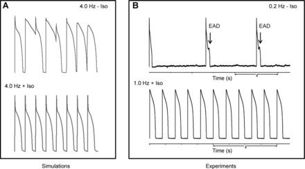 Fig. 3.