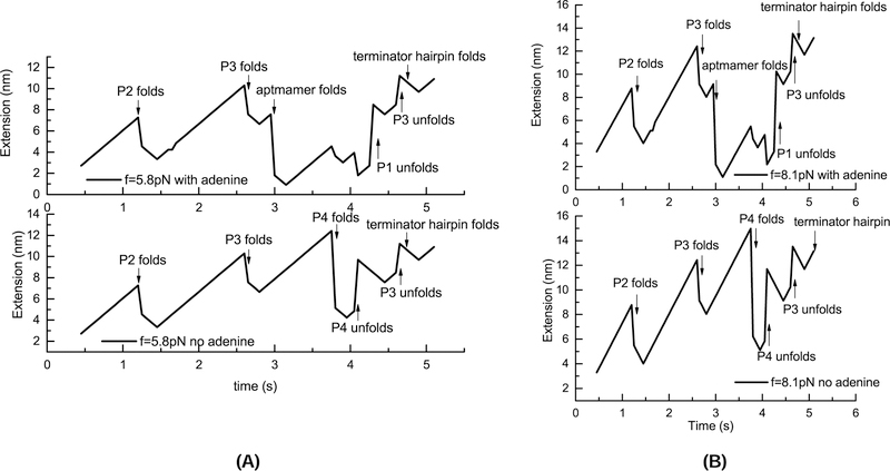 Figure 10: