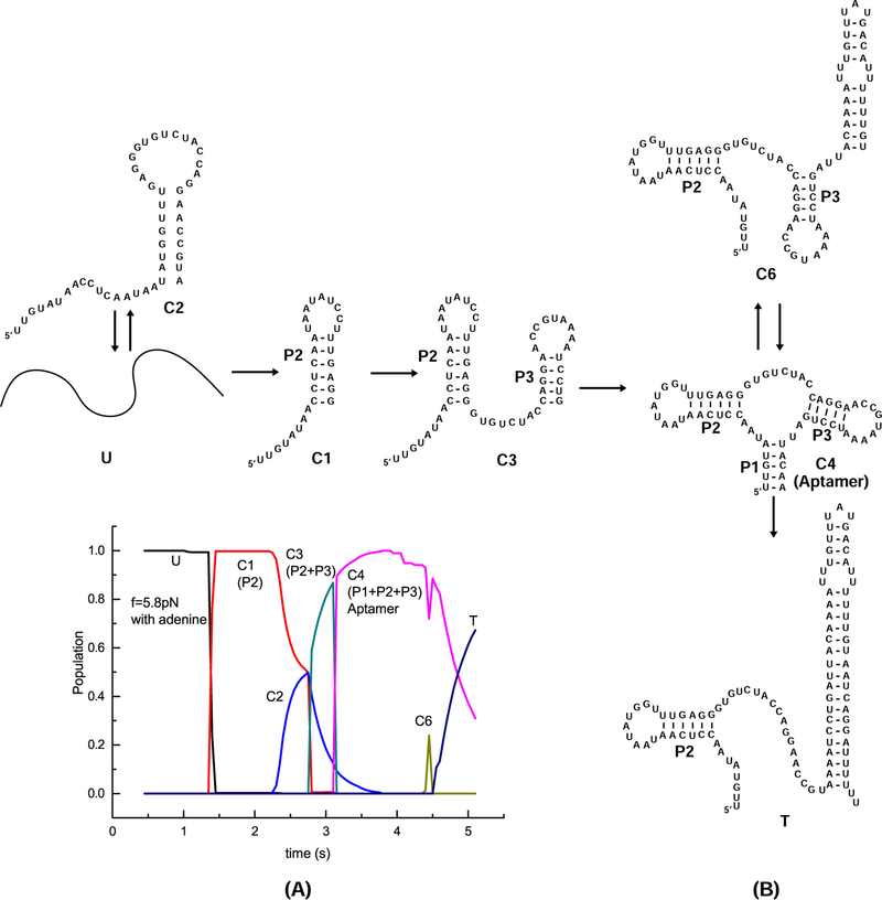 Figure 8: