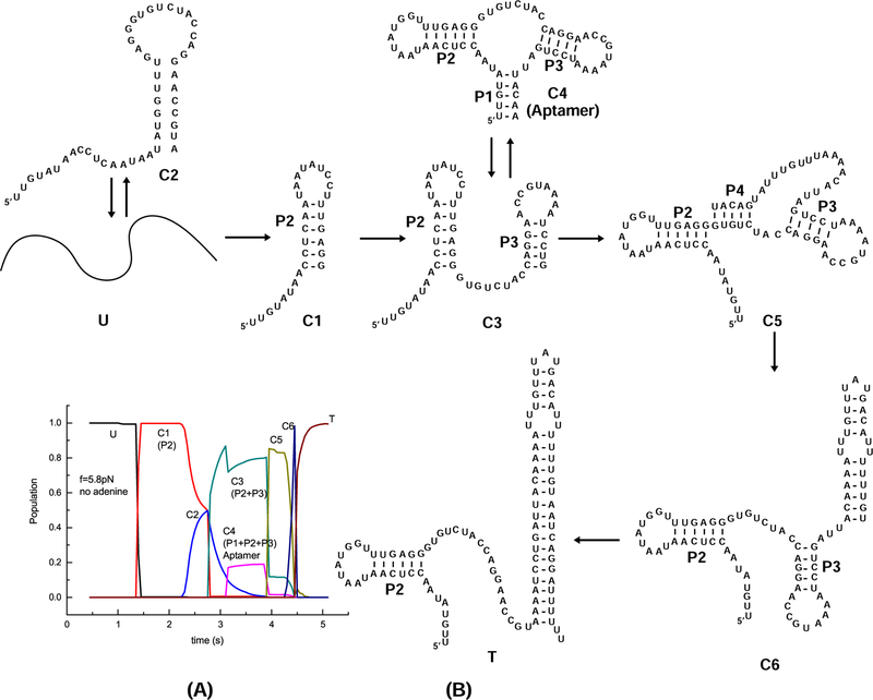 Figure 7: