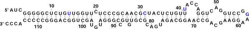 Figure 3: