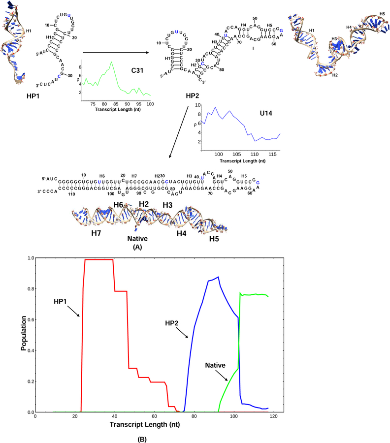 Figure 4: