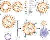 Figure 3