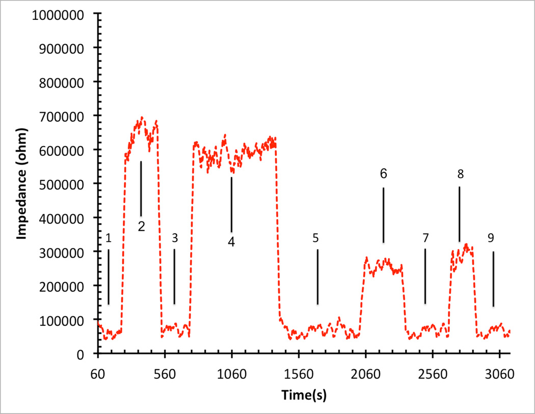 Figure 13