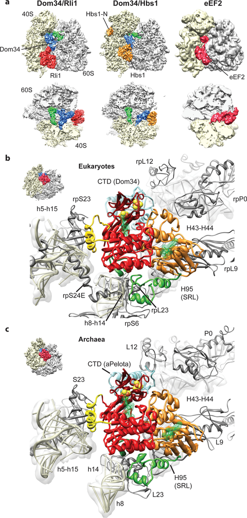 Fig. 2: