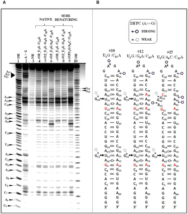 Figure 10.