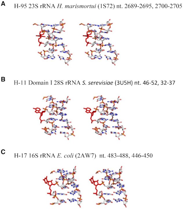 Figure 7.