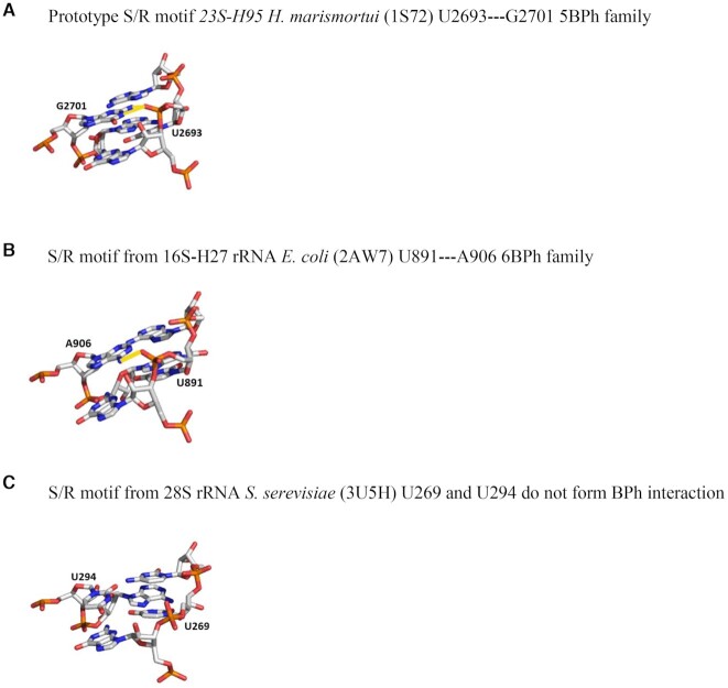 Figure 6.