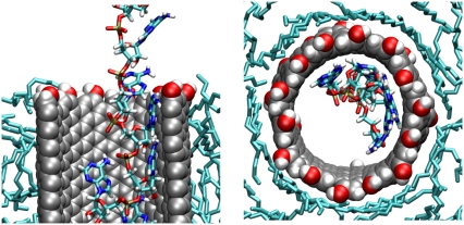 FIGURE 10