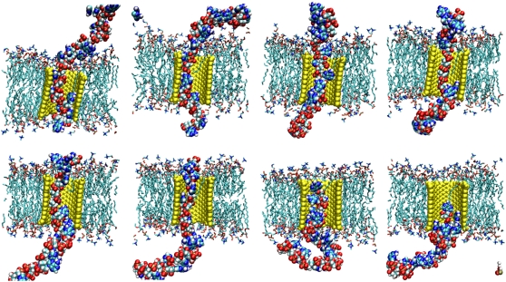 FIGURE 14