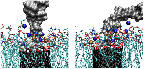 FIGURE 13