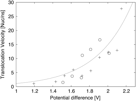 FIGURE 11