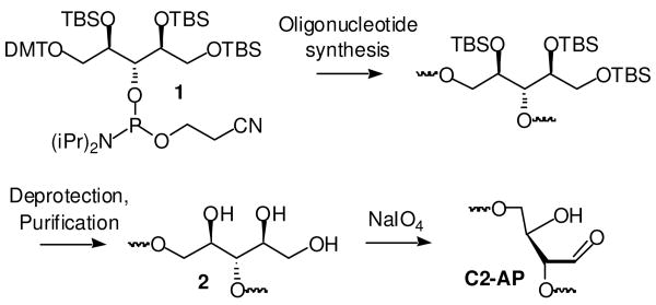 Scheme 2