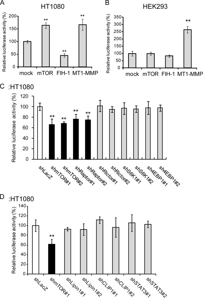 FIG 2