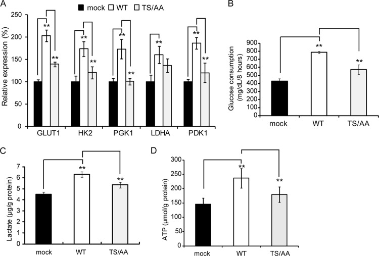 FIG 6