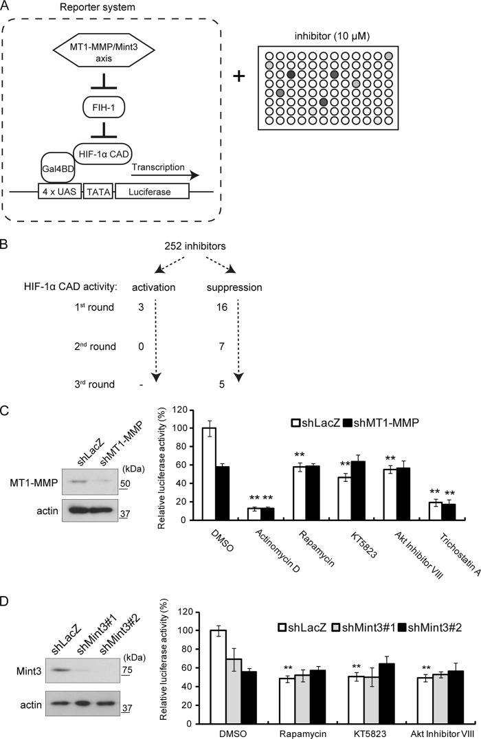 FIG 1