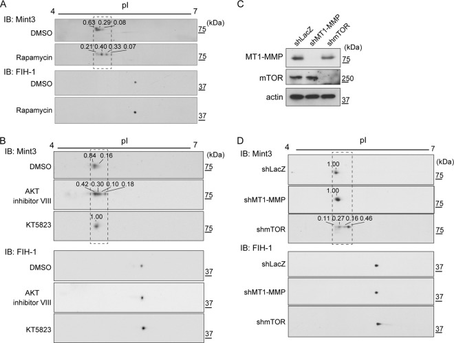 FIG 3