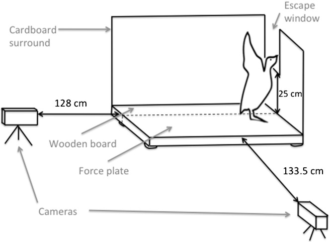 Fig. 4.