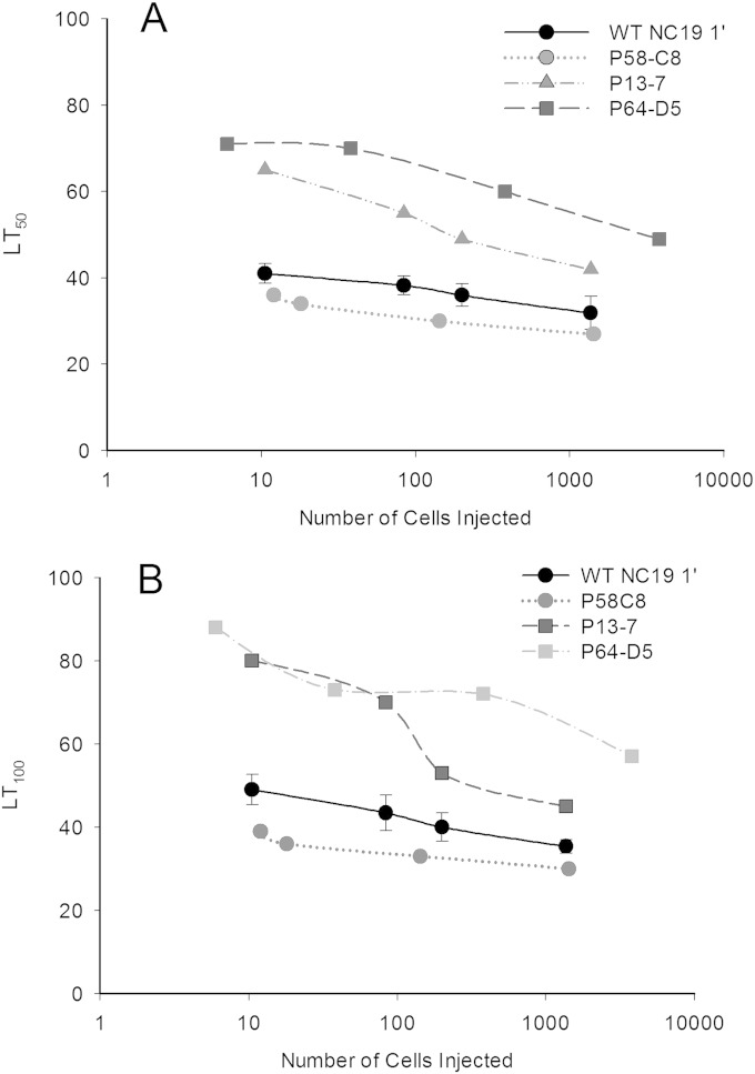 FIG 6