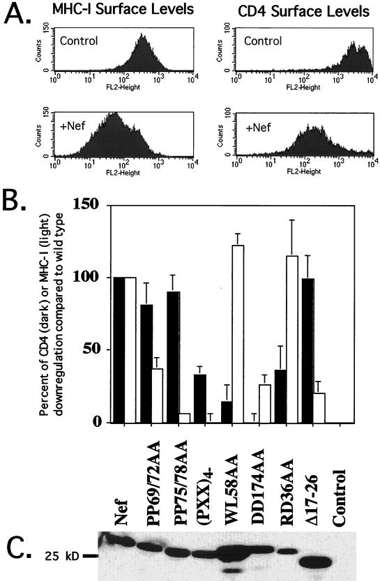 FIG. 1