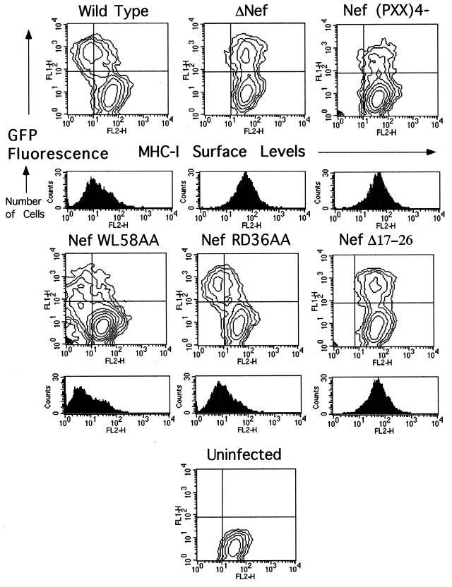 FIG. 3