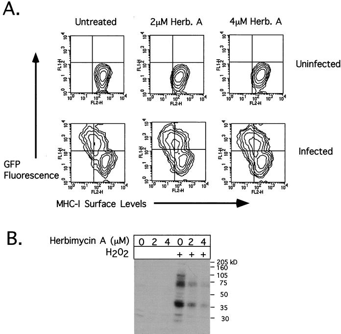 FIG. 6