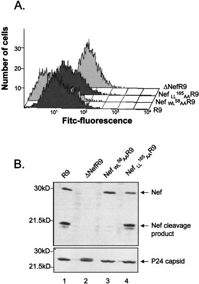 FIG. 4