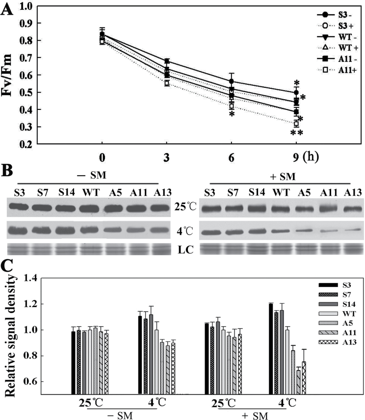 Fig. 9.