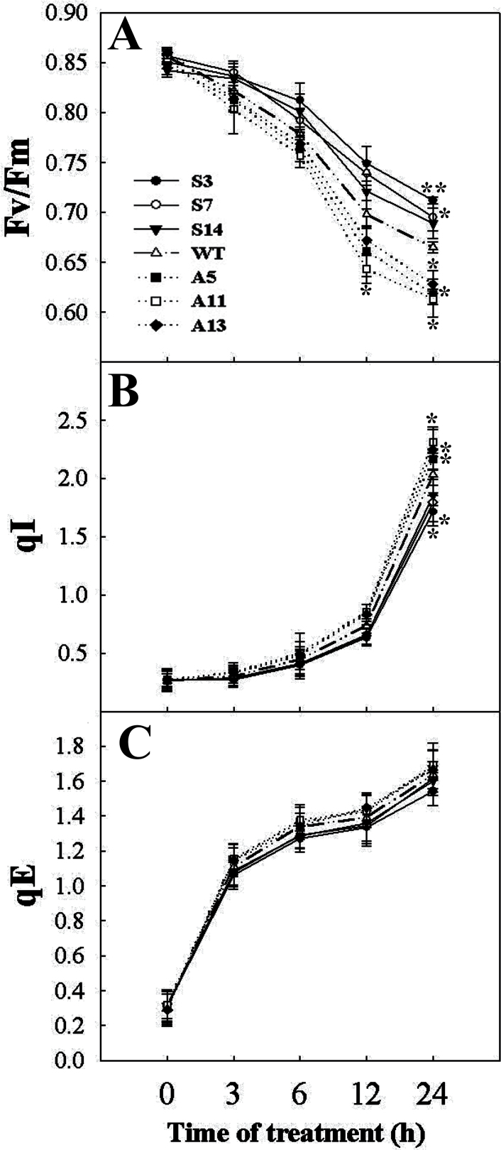 Fig. 8.