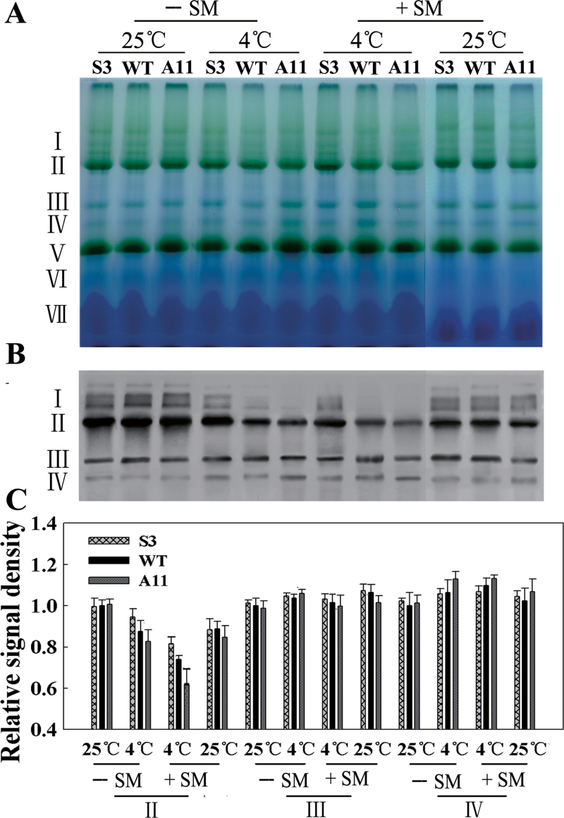 Fig. 10.