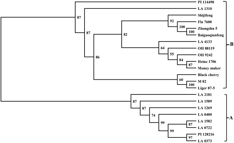 Figure 5.