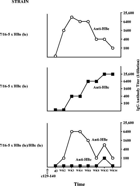 FIG. 9.