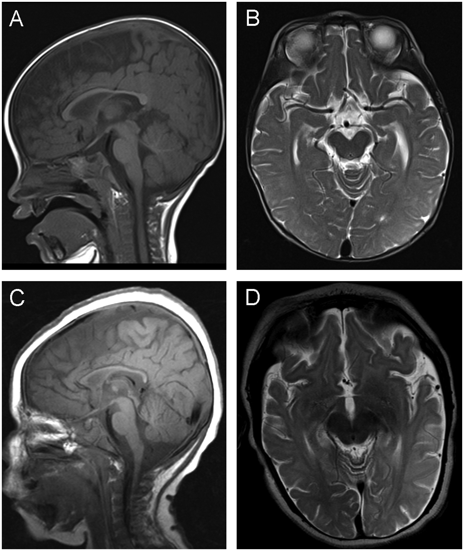 Figure 1: