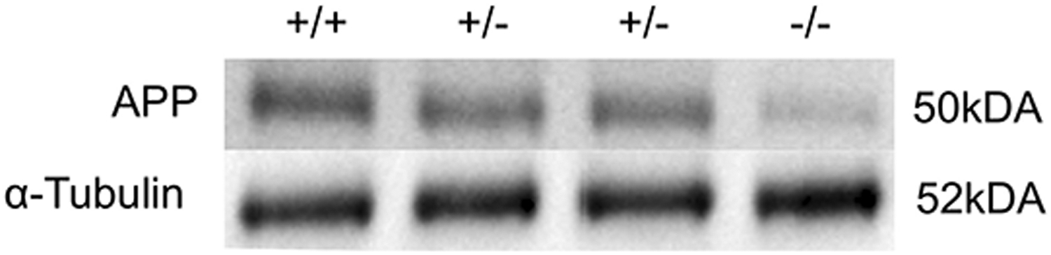 Figure 3: