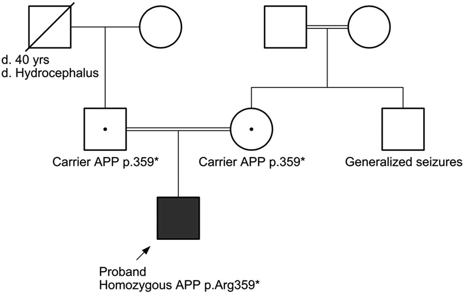 Figure 2: