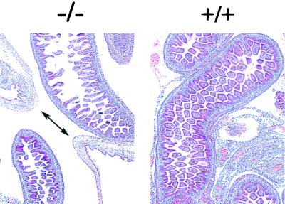 FIG. 5