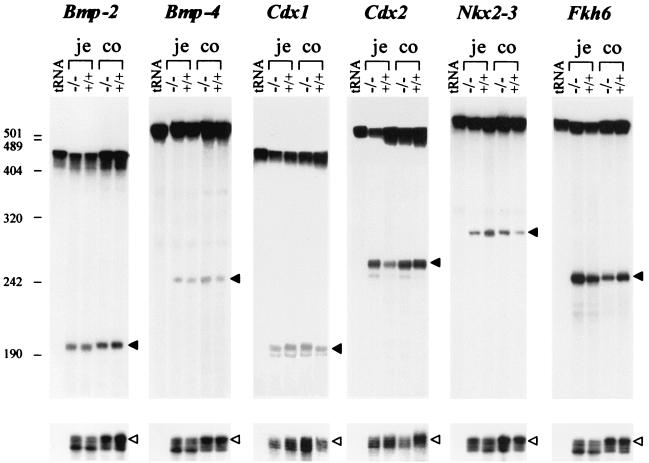 FIG. 6