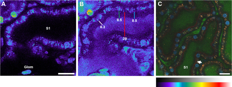 Figure 6