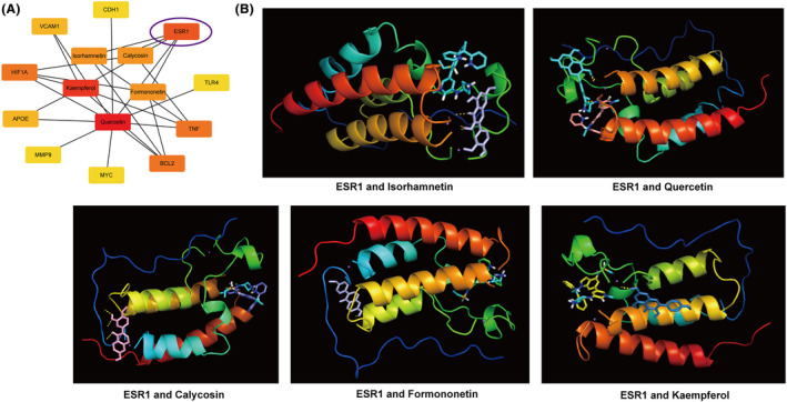 FIGURE 6