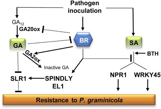 Figure 5.